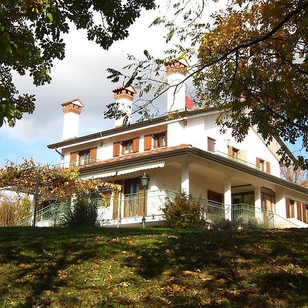 Stirenca B&B Trieste Exteriör bild