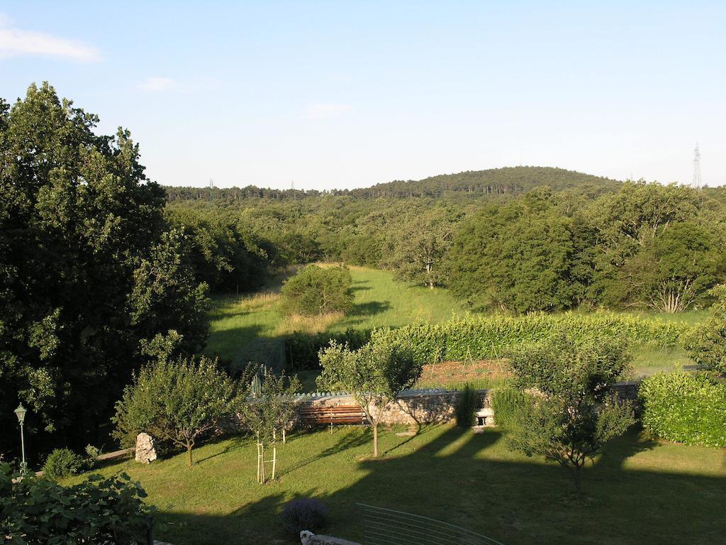 Stirenca B&B Trieste Exteriör bild