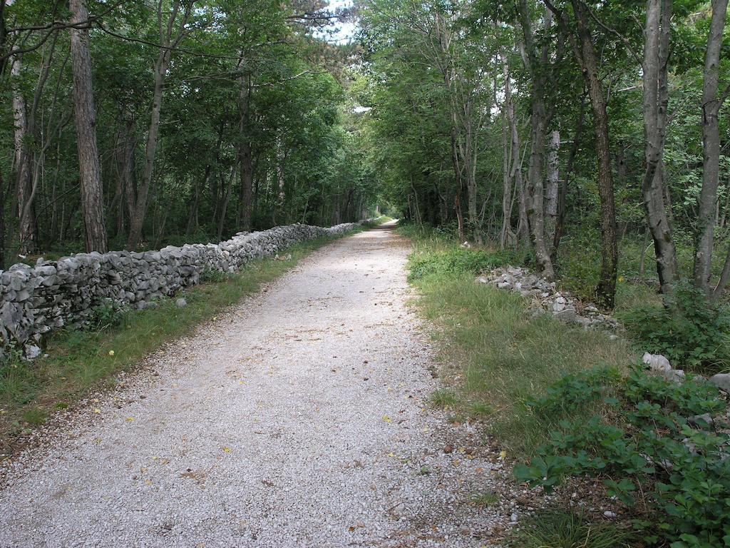 Stirenca B&B Trieste Exteriör bild