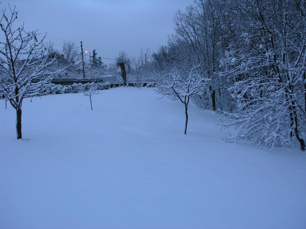 Stirenca B&B Trieste Exteriör bild